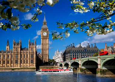 实用!一文解析,英国工签续签与永居的注意事项!