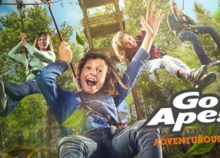 Go Ape | 英国丛林冒险