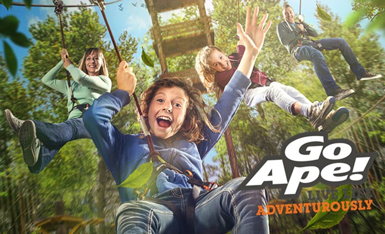 Go Ape | 英国丛林冒险