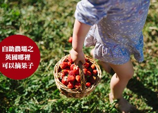 自助农场 | 英国哪里可以摘果子?
