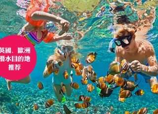 英国、欧洲潜水目的地和潜水课程推荐