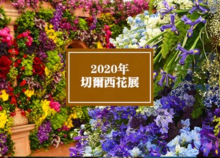 2020年切尔西花卉展 | Chelsea Flower Shower