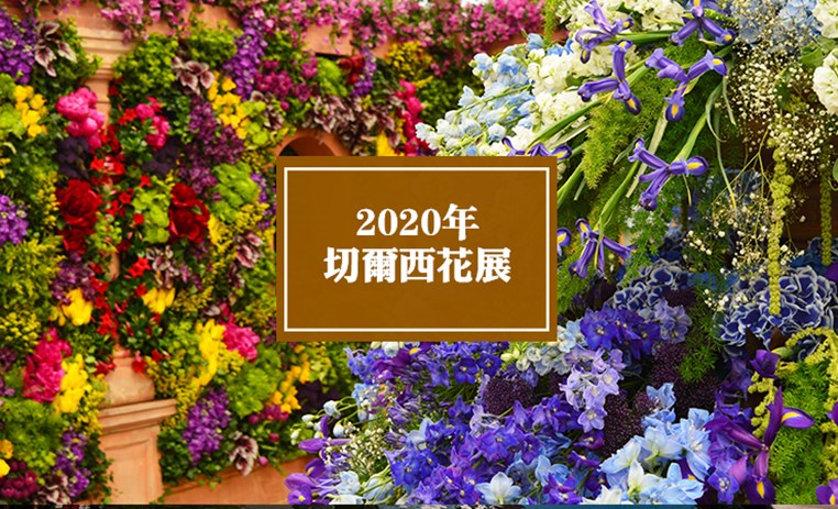 2020年切尔西花卉展 | Chelsea Flower Shower